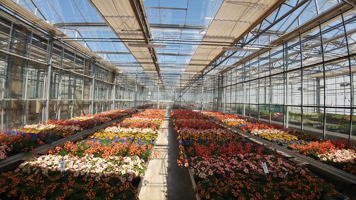 DLRRheinpfalz\Aktuelles\Überblick